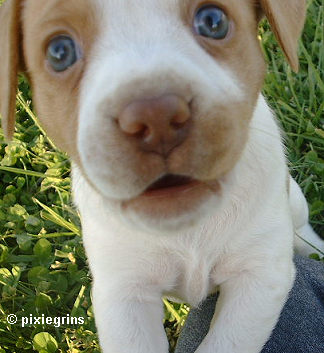 so cute - Daily life - Crazy Gooooood!!!!!!!!!!